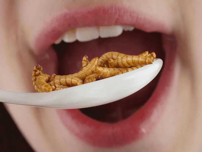 Comer insectos