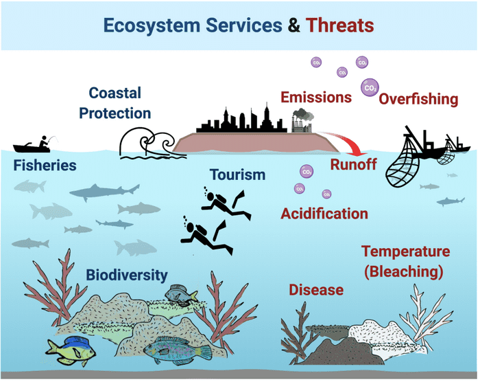 Servicios y peligros de los ecosistemas coralinos – MIT Science Policy Review